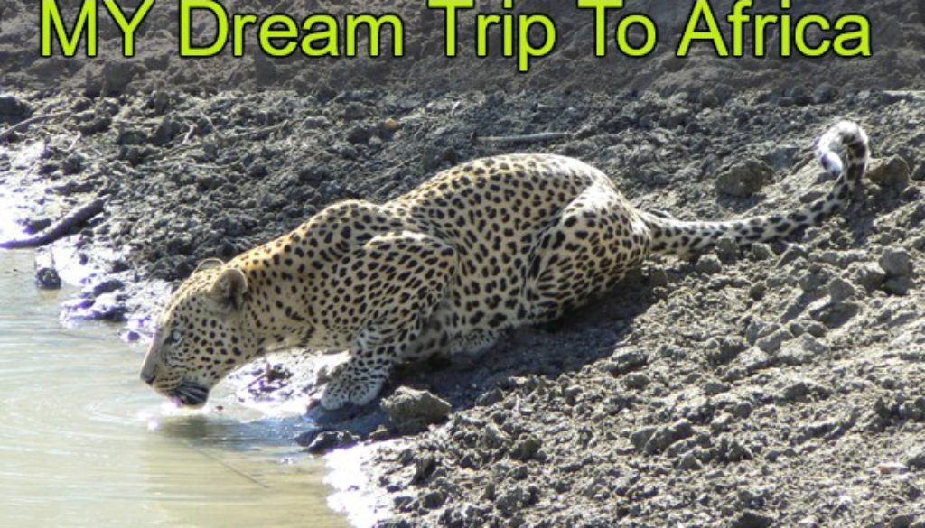 Short Story My Dream Trip To Africa